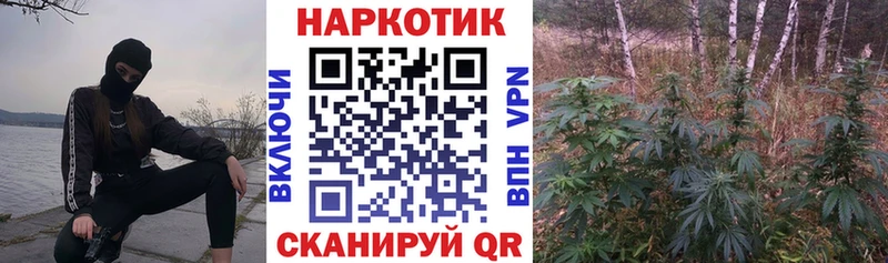 Виды наркотиков купить Черемхово Марихуана  Мефедрон  A-PVP  ГАШИШ  Кокаин 