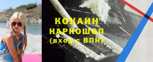 сатива Краснослободск