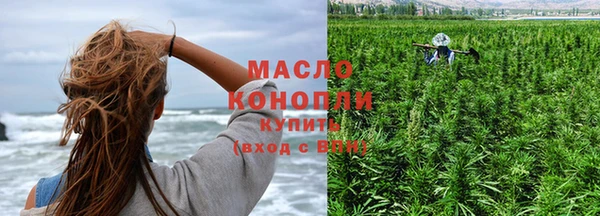 сатива Краснослободск