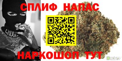 спиды Можга
