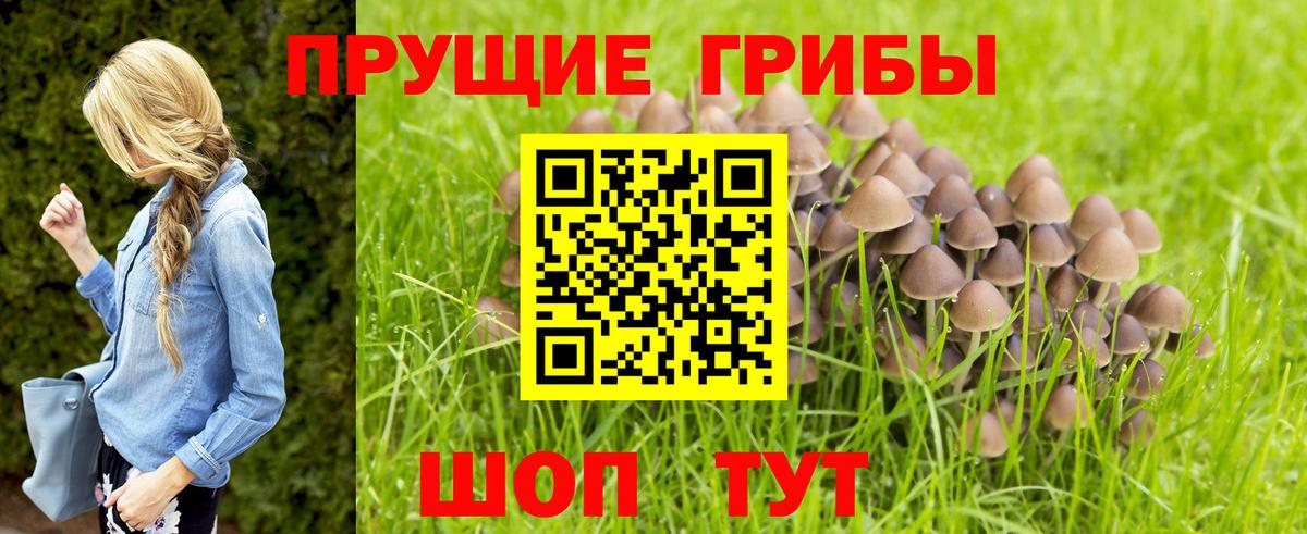 Псилоцибиновые грибы GOLDEN TEACHER Черемхово