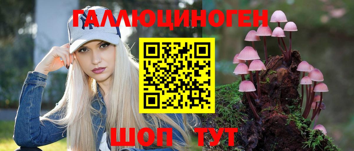 Черемхово  Псилоцибиновые грибы ЛСД  Псилоцибиновые грибы Psilocybe  Вход с VPN 